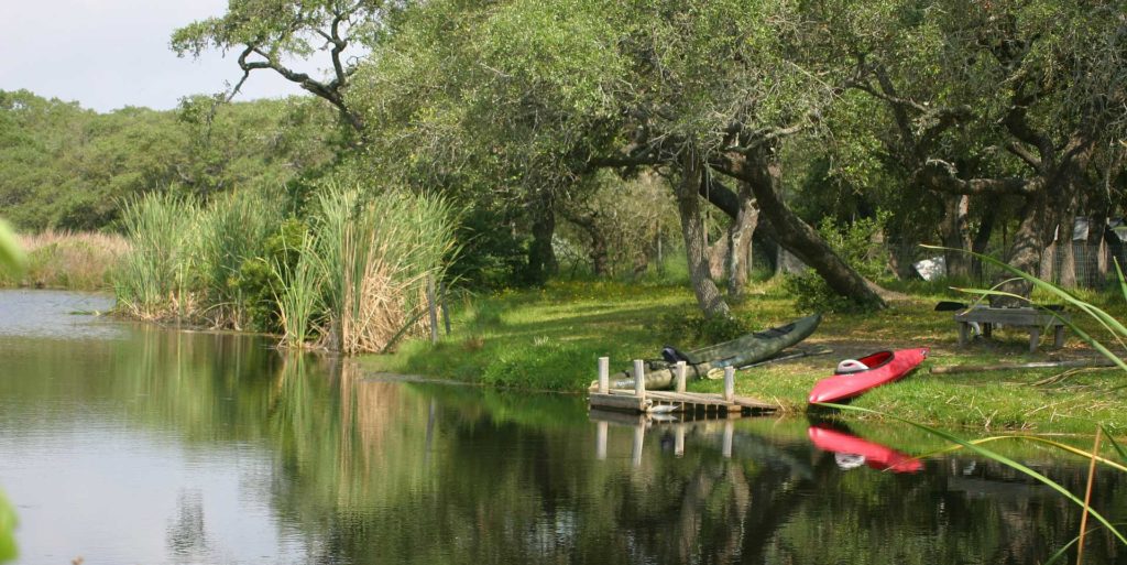 Bord de la Vézère près des Courrèges, Le Bugue Dordogne