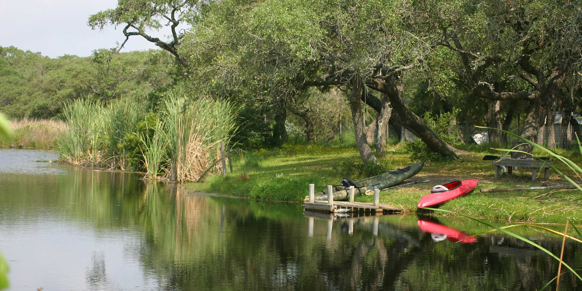 Bord de la Vézère près des Courrèges, Le Bugue Dordogne